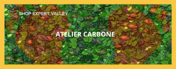 Shop Expert Valley anime une atelier carbone : 2 heures pour senbiliser aux enjeux climats et carbone