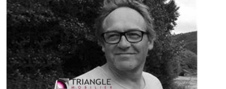 Jean-Luc Lheureux, Triangle Mobilier