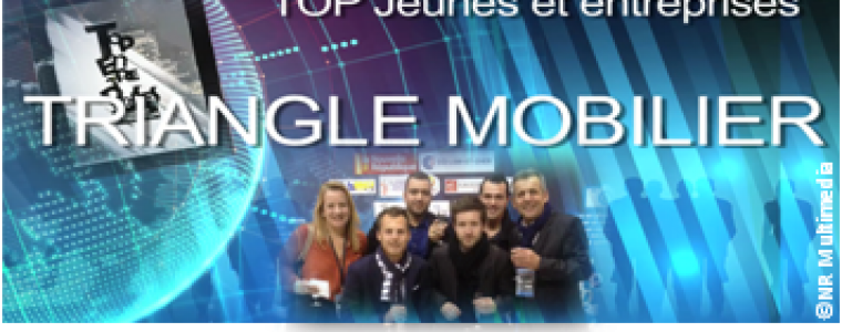 Actu Triangle Mobilier Top Jeunes et entreprises 2015